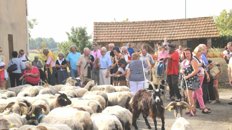 Castex d'Armagnac : La route de la transhumance