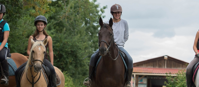 Journée du cheval : Dimanche 18 septembre de 14 heures à 17 heures portes ouvertes aux écuries d'Armagnac à Valence-sur-Baïse
