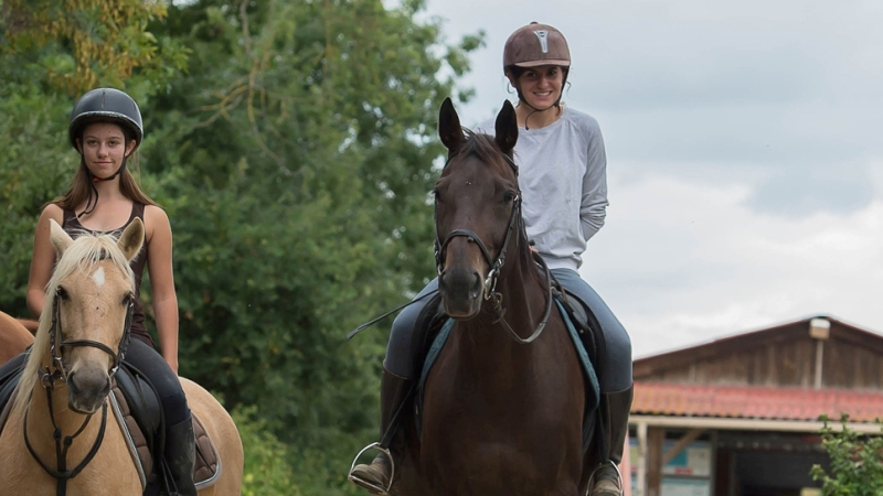 Journée du cheval : Dimanche 18 septembre de 14 heures à 17 heures portes ouvertes aux écuries d'Armagnac à Valence-sur-Baïse