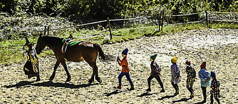 Le Houga – Fête du cheval à Benquet dimanche 19 septembre