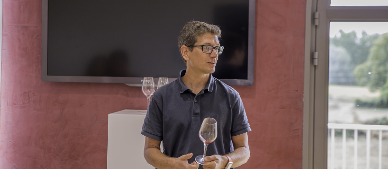 Saint-Mont – Connaissance des vins de Saint Mont