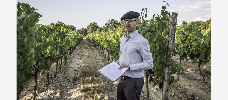 Vins de Saint Mont - Grâce à l’ampélographie, Plaimont développe des cépages oubliés