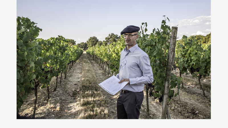 Vins de Saint Mont - Grâce à l’ampélographie, Plaimont développe des cépages oubliés