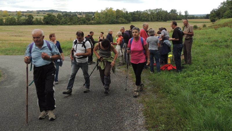 Ronde des haricots tarbais