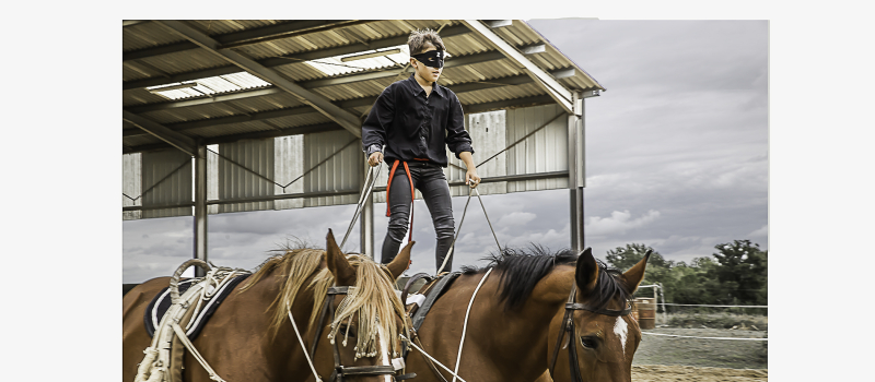 Le Houga – Superbe fête du cheval au Domaine de Benquet