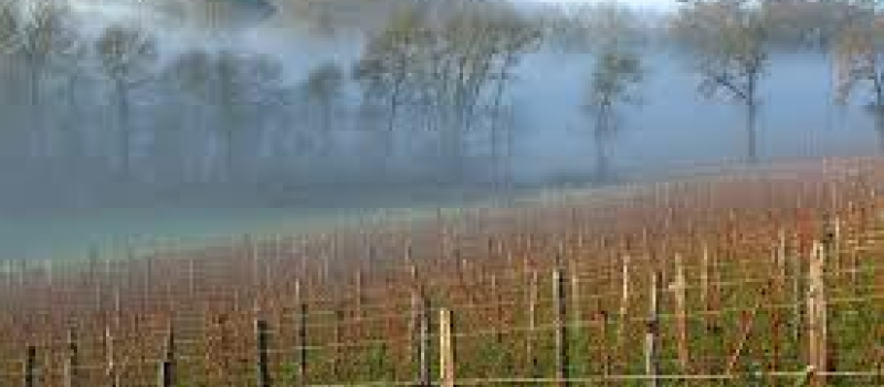 Samedi 1 octobre grande fête des vendanges au domaine de Saux Neuf à Fleurance