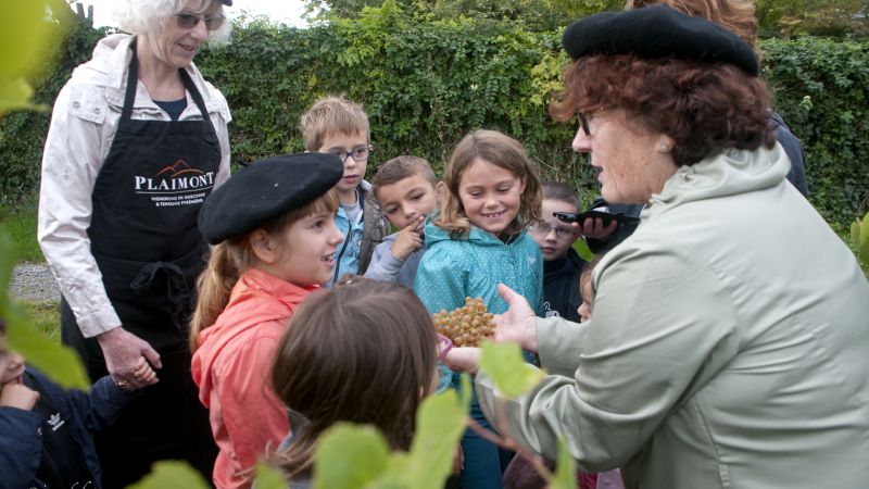La fête la Saint-Sylvestre a Viella se prépare dès maintenant