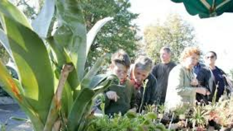 Dimanche 9 octobre à Ordan-Larroque 14ème journée des plantes, rares, méconnues, ou simplement différentes