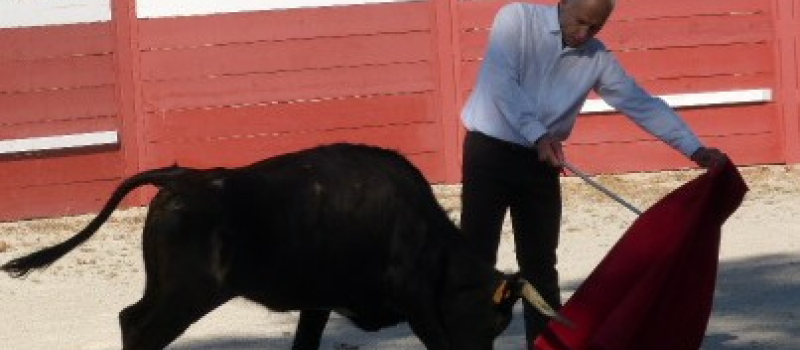 La tienta du Lartet