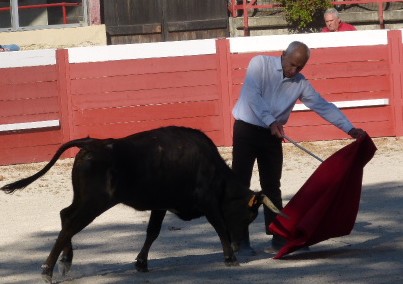 Galtier à la cape