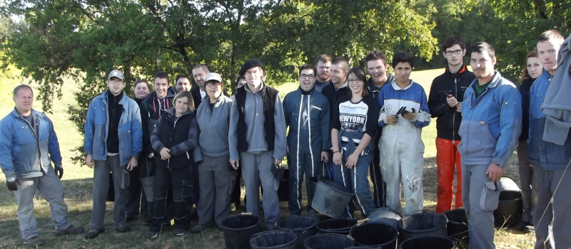 L'  I M Pro de Pagès a vendangé  la vigne de "Rive-Haute"