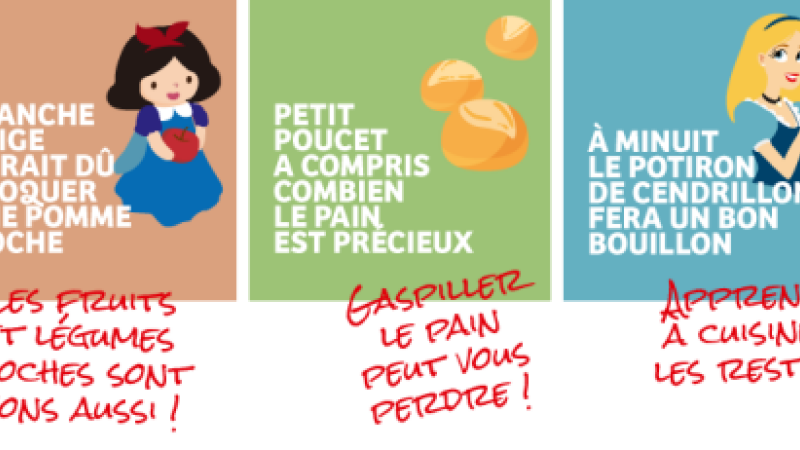 Les contes de l'antigaspi 