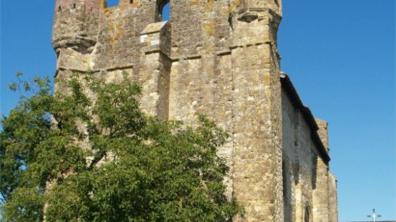 Conférence de "La Mésange Bleue" 