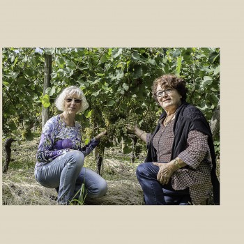Martine Levaux et Nadine Cauzette à la vigne Sabine Laborde 1bis principale 061016.jpg