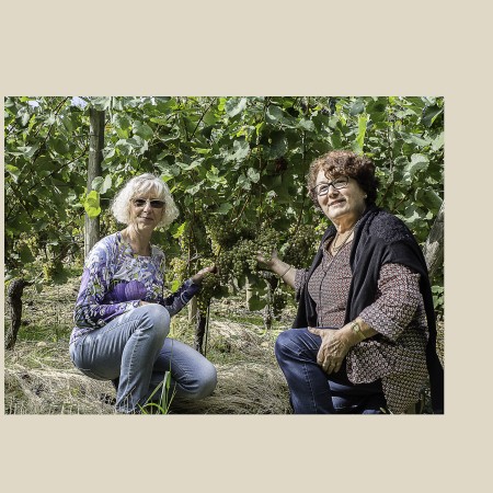 Martine Levaux et Nadine Cauzette à la vigne Sabine Laborde 1bis principale 061016.jpg