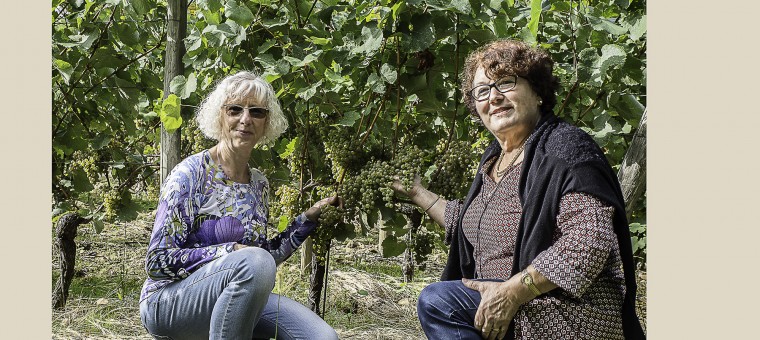Martine Levaux et Nadine Cauzette à la vigne Sabine Laborde 1bis principale 061016.jpg