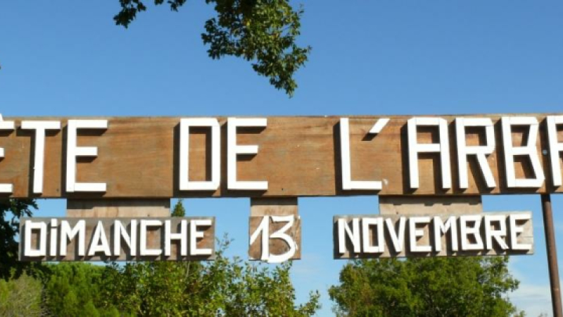 Douzième édition de la fête de l'arbre à Duran