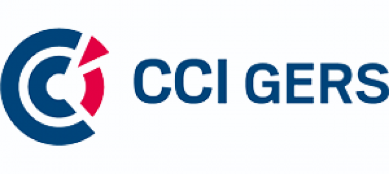 cci logo.png