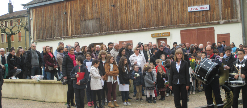 11 novembre