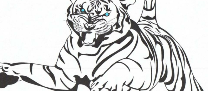 Bastides Handball: le club qui monte !!
