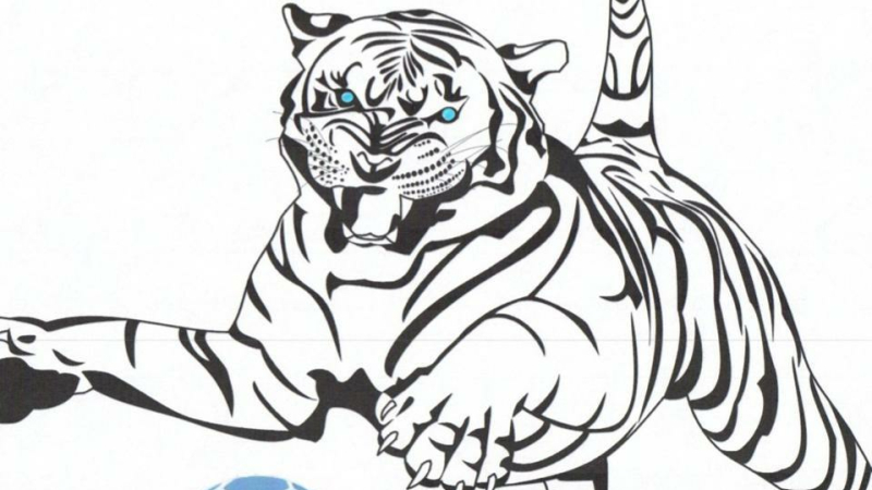 Bastides Handball: le club qui monte !!