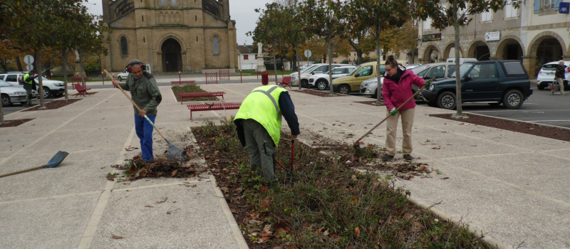 Nettoyage d'Automne a Plaisance 