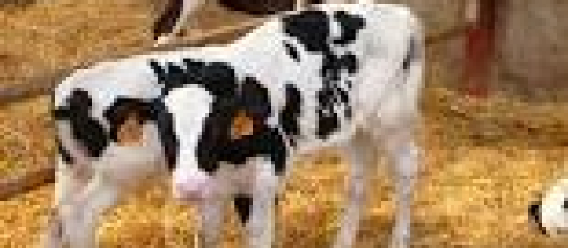 Nouvelles mesures d'aides aux agriculteurs    