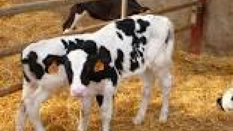 Nouvelles mesures d'aides aux agriculteurs    
