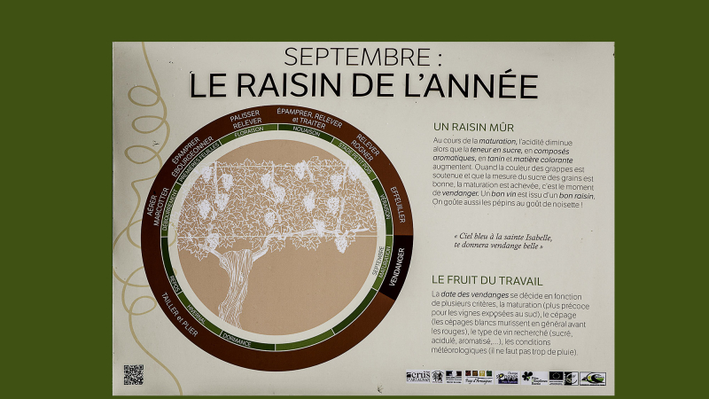 Nogaro – Interprétation de la vigne et du vin: