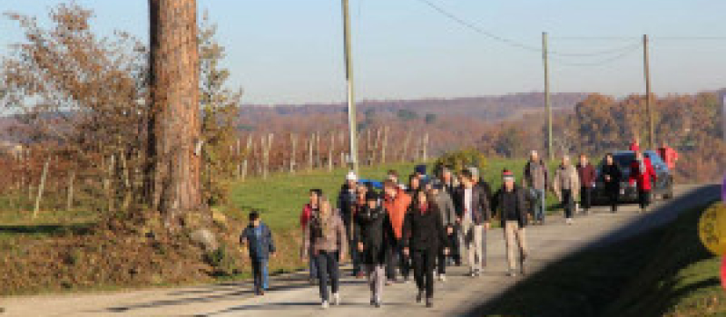 Cazaubon : succès de la nouvelle formule du Téléthon