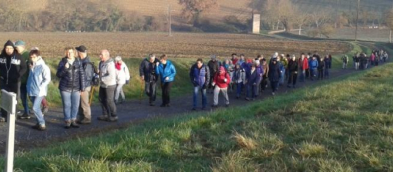 Téléthon : 4 000 euros collectés par les randonneurs des coteaux de Lagardère