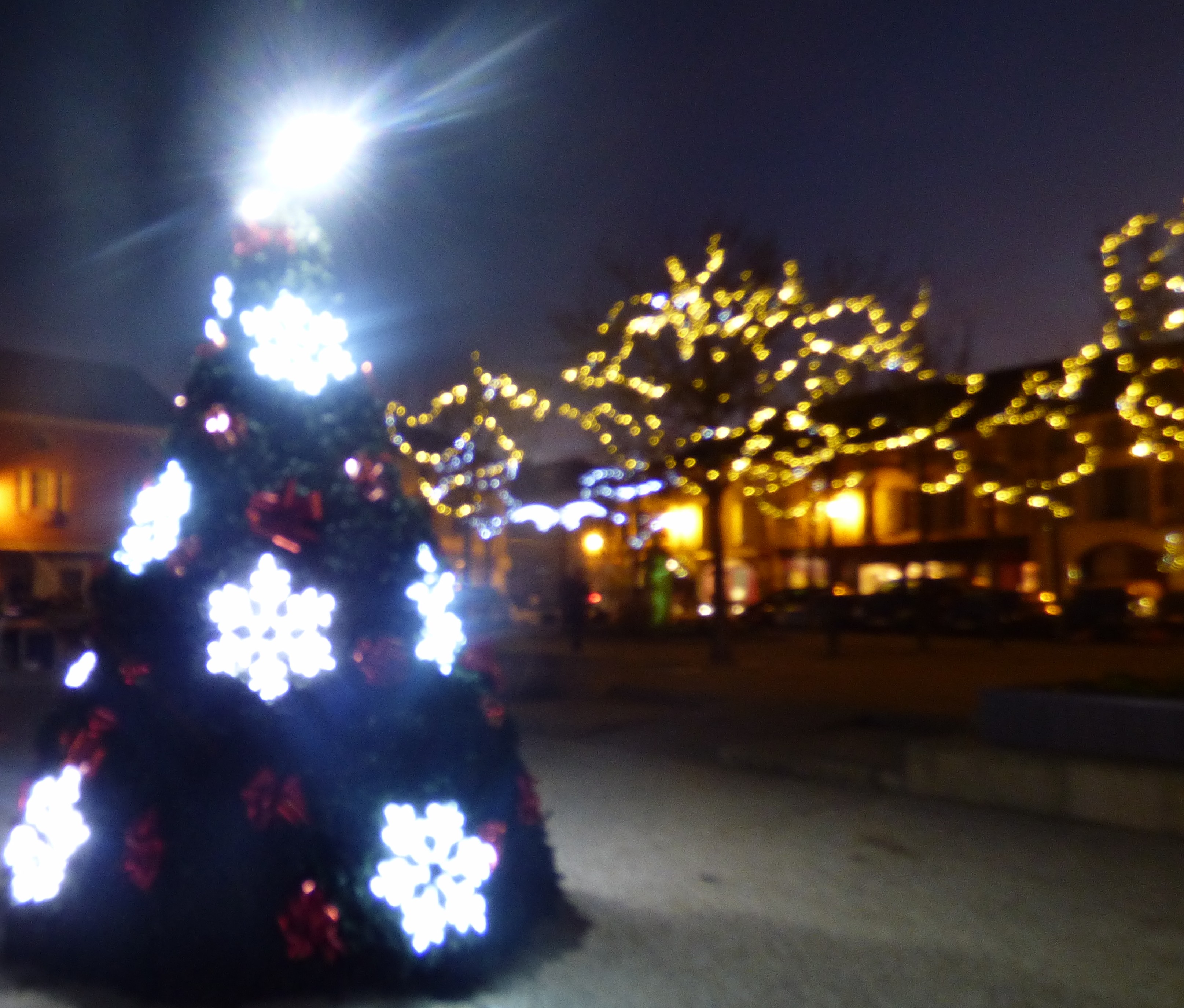 le sapin de Noël