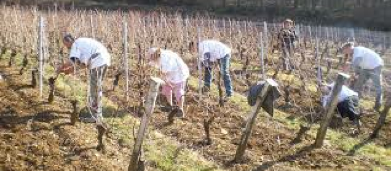 Lutte contre le travail illégal