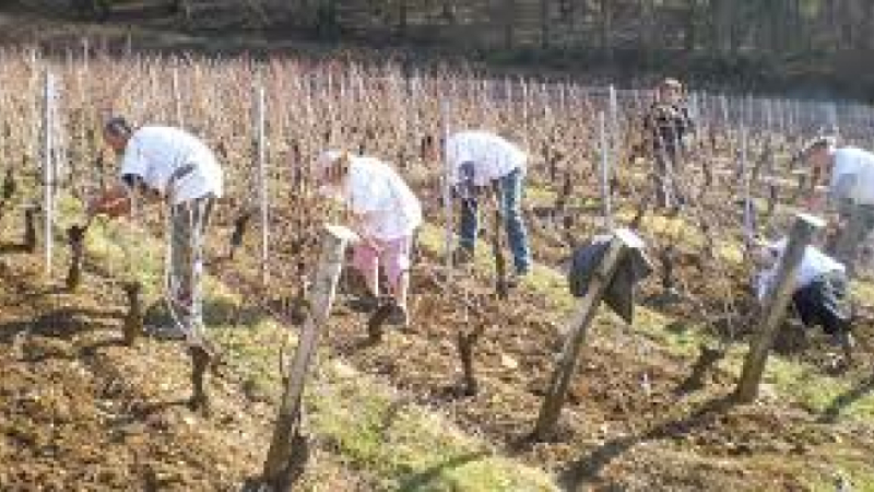 Lutte contre le travail illégal