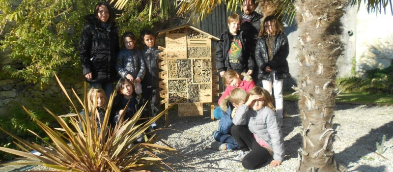  L'HÔTEL DES INSECTES MIS EN PLACE