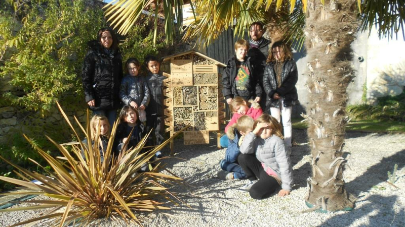  L'HÔTEL DES INSECTES MIS EN PLACE