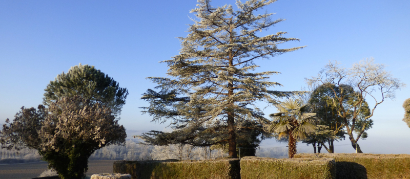L'hiver fait son apparition 