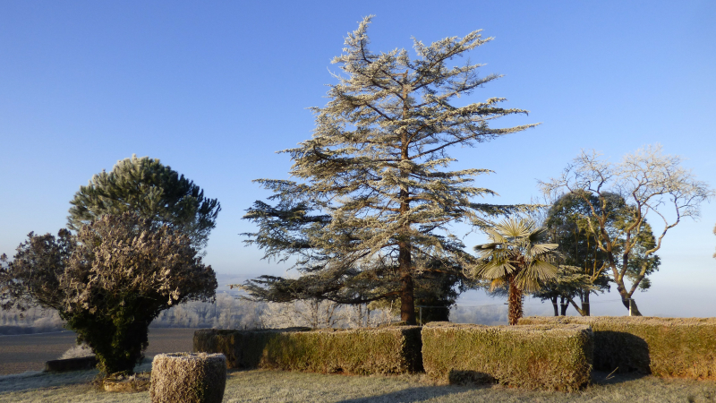 L'hiver fait son apparition 