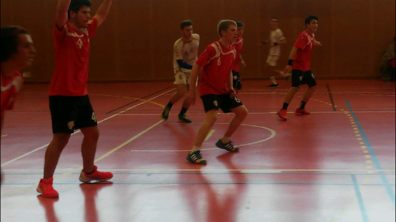 Quarté gagnant pour les Lions Auch Handball