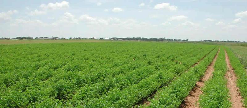 Communiqué de la préfecture du Gers :  Agriculteurs, pas de remboursement de primes