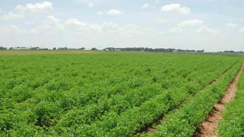 Communiqué de la préfecture du Gers :  Agriculteurs, pas de remboursement de primes