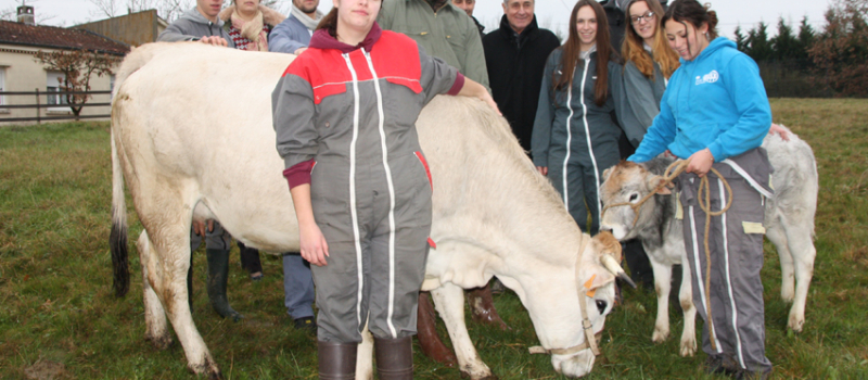 Le lycée agricole en concours au Salon de l'agriculture