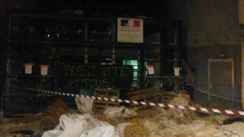 La colère monte chez les éleveurs de canards