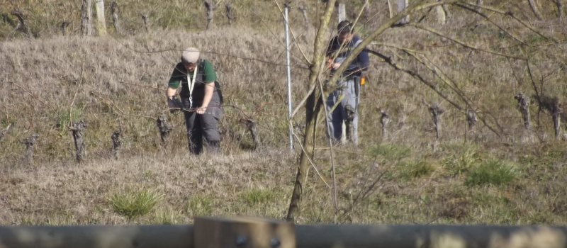 Vignoble de "Rive-Haute" sur la colline de Lasserrade