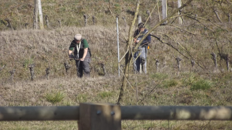 Vignoble de "Rive-Haute" sur la colline de Lasserrade