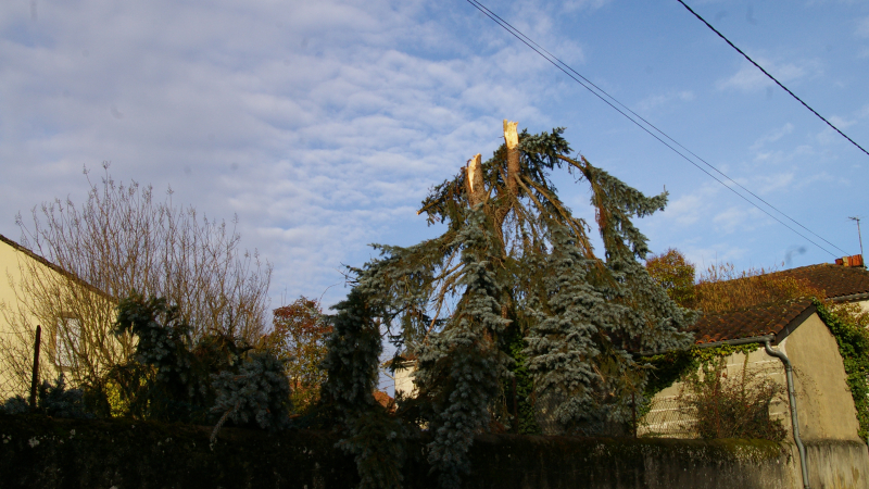 La tempête "Marcel" a eu raison de lui