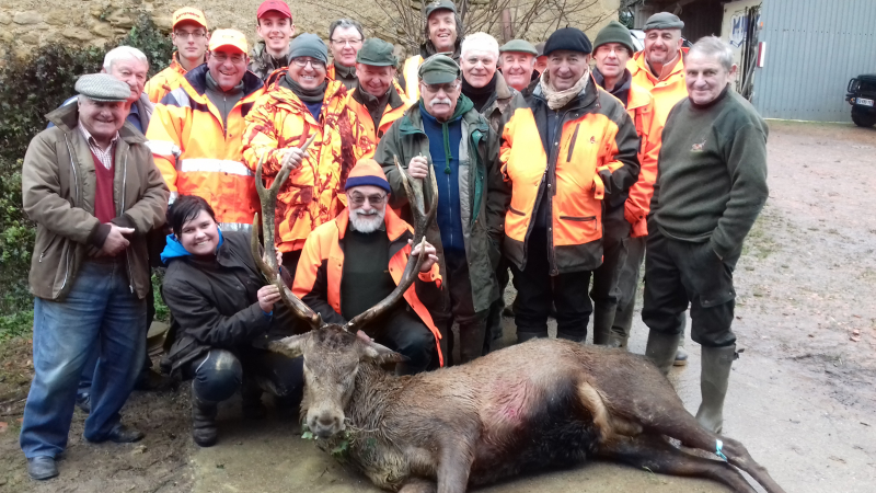 Le cerf s'installe en Astarac