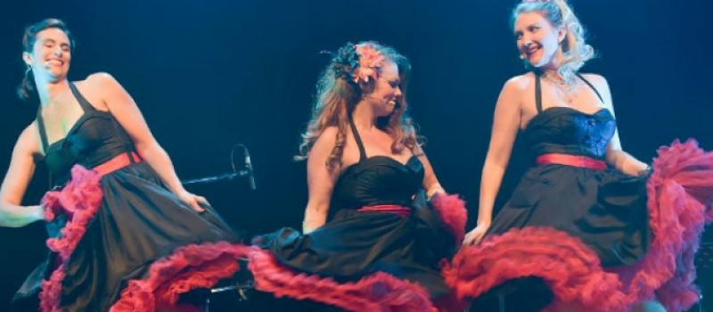Les demoiselles en concert