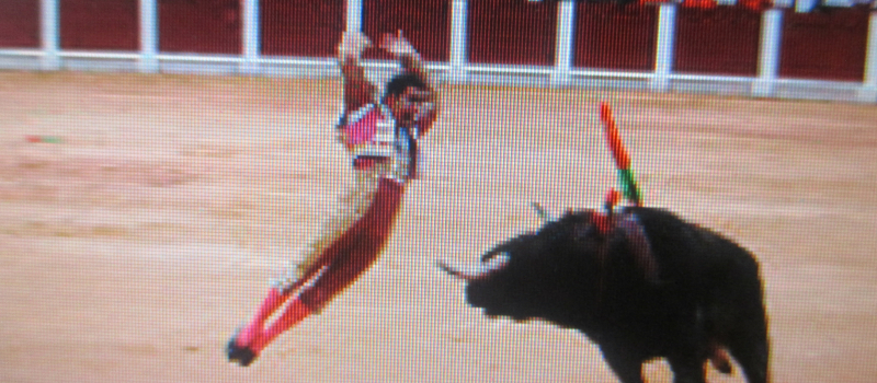 Aignan y toros