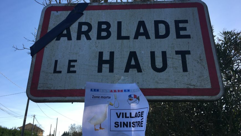 Les canards en colère se manifestent